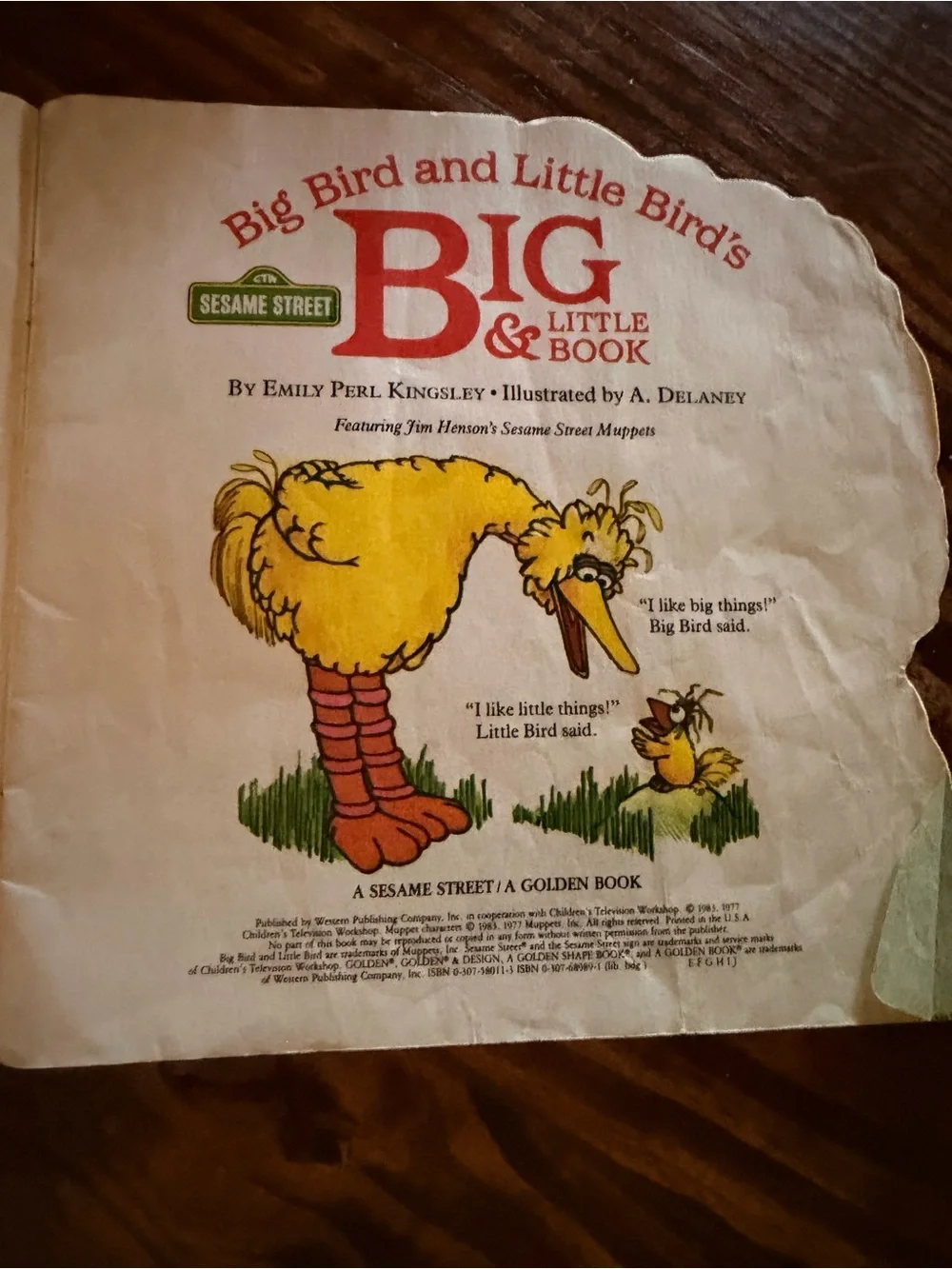 Sesame Street Big Bird & Little Bird Yellow Kids Book